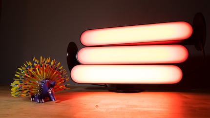 Un alebrije al tramonto. Bellissimo.