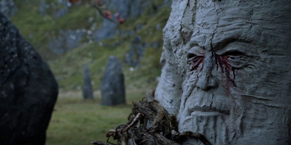 It is said that weirwood trees contain the soul and knowledge of deceased Children of the Forest.