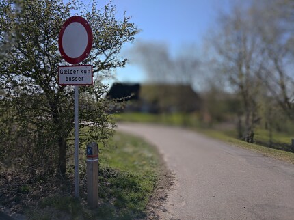 Das feine Astwerk bereitet Probleme beim Bokeh-Effekt.