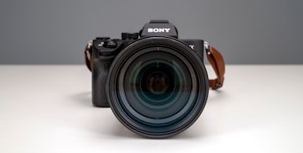 The top dog: Sony’s a7iii is their newest interchangeable lens camera.
