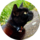 keine Informationen über dieses Bild verfügbar