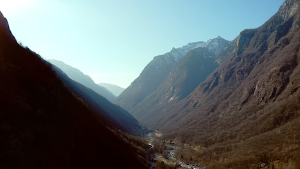 L'ambiance du matin, telle que la vivent les oiseaux et les drones