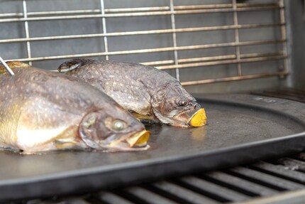 Dans cette position, le poisson ne reste pas collé à la grille.