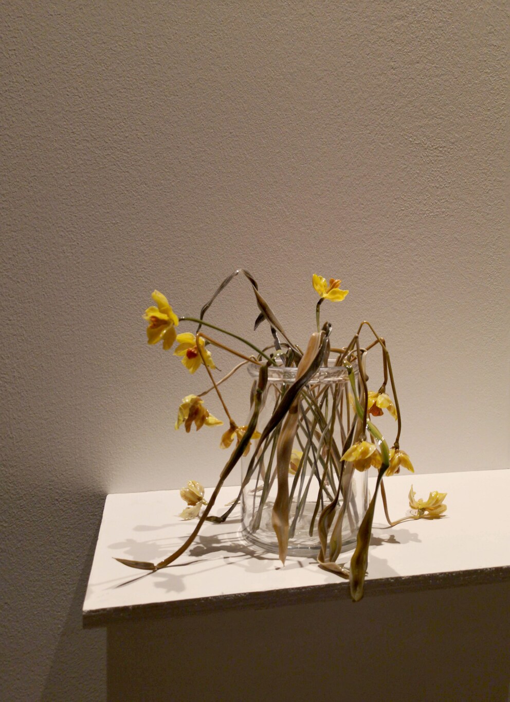 Täuschend echt: «Lilla Tabasso Agapanthus» ist eine Murano-Glaskreation von Caterina Tognon.
