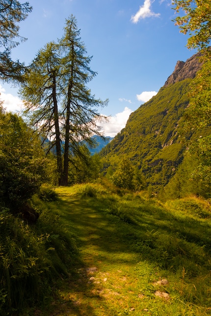 Dynamics turned up all the way: the green becomes too bright.