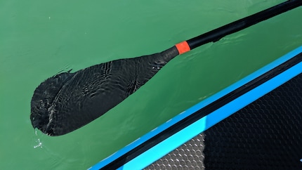 Wichtig: Das Paddel besteht den Schwimmtest.