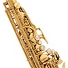 Yanagisawa A-WO10 (Saxophone)