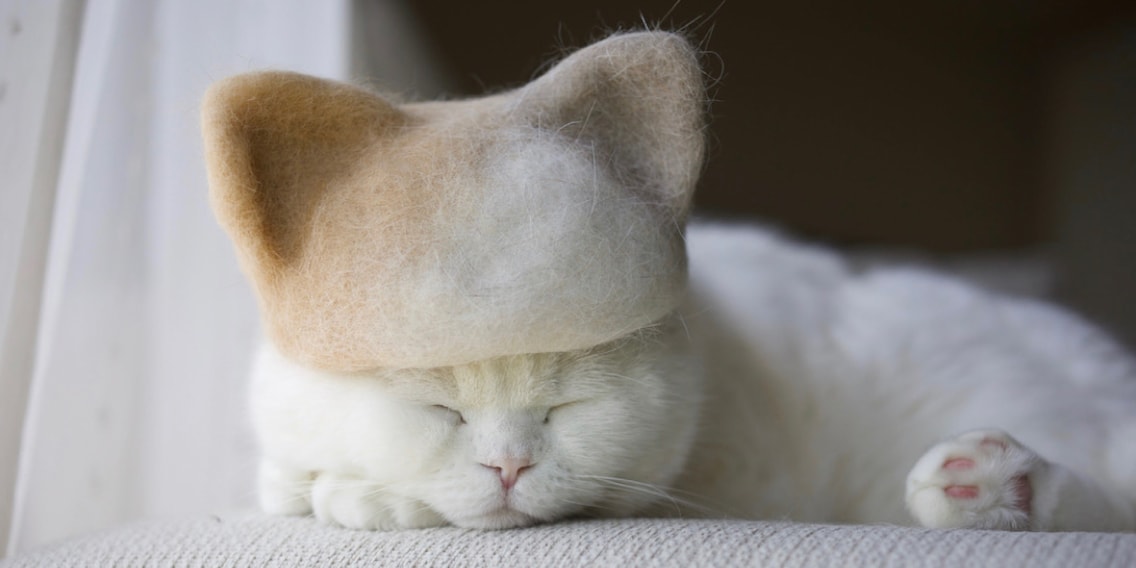 Designer giapponese realizza cappellini in pelo di gatto