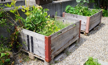 Planters like these are just some of the items that need watering.