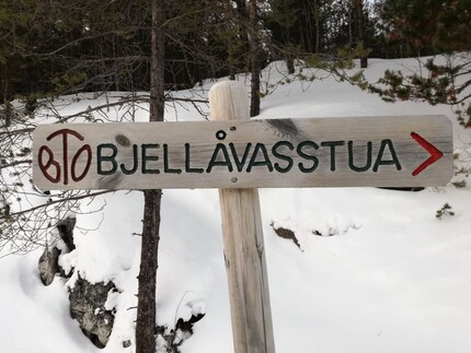 Nous sommes sur le bon chemin.