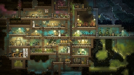 The colony gets more and more complex.