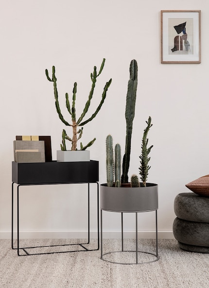 Blueish-grey tints appear cool. Image: Ferm Living