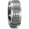 Rhomberg Partner Ring (58, Titanium)
