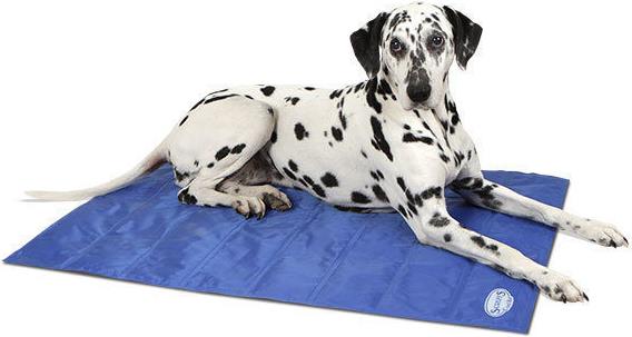 Beeztees cooling mat discount