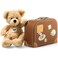 Fynn Teddy Bear in suitcase (28 cm)