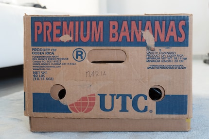 La boîte de bananes de l'horreur. Rien de ce qui est écrit dessus n'est vrai.