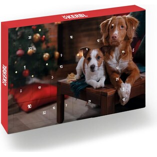Hauptner X-Mas Advent Calendar 2019 Dog