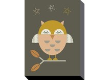 Little Owl (30 x 40 cm)