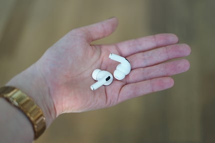 Sono decisamente piccoli.