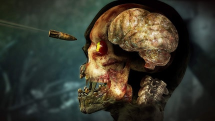 Gli zombie non sono così senza cervello come si dice in giro.