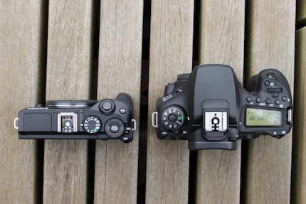 Über das Info-Display hast du bei der EOS 90D (rechts) mehr Infos direkt im Blick.