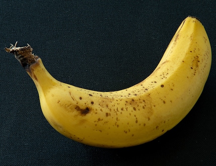 A première vue, la banane a l'air d'un sujet simple.