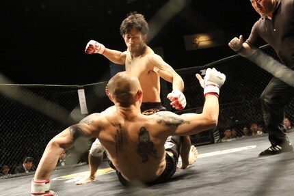 Ece compare la politique à des « cage fights ».