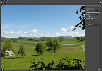 Trying out the filters is not much fun because the software can't keep up with the calculations.