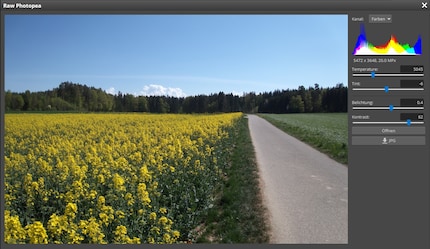 RAW processing: Available, but minimal