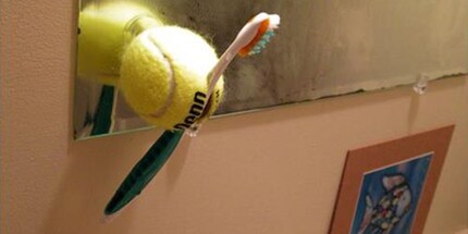Das Multitalent namens Tennisball hält, was es verspricht. Bildquelle: Pinterest/students.approvedcolleges.com