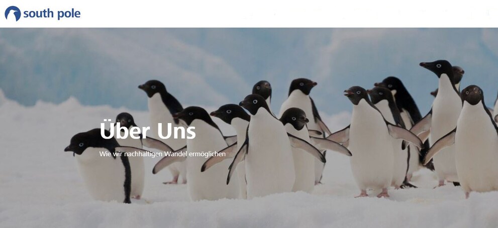 Screenshot da southpole.com/why-spg: i pinguini vengono presentati chiaramente anche sul sito di South Pole.