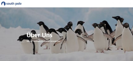 Screenshot da southpole.com/why-spg: i pinguini vengono presentati chiaramente anche sul sito di South Pole.