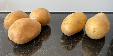 Three starchy potatoes and two waxy potatoes before being cut into French fries.