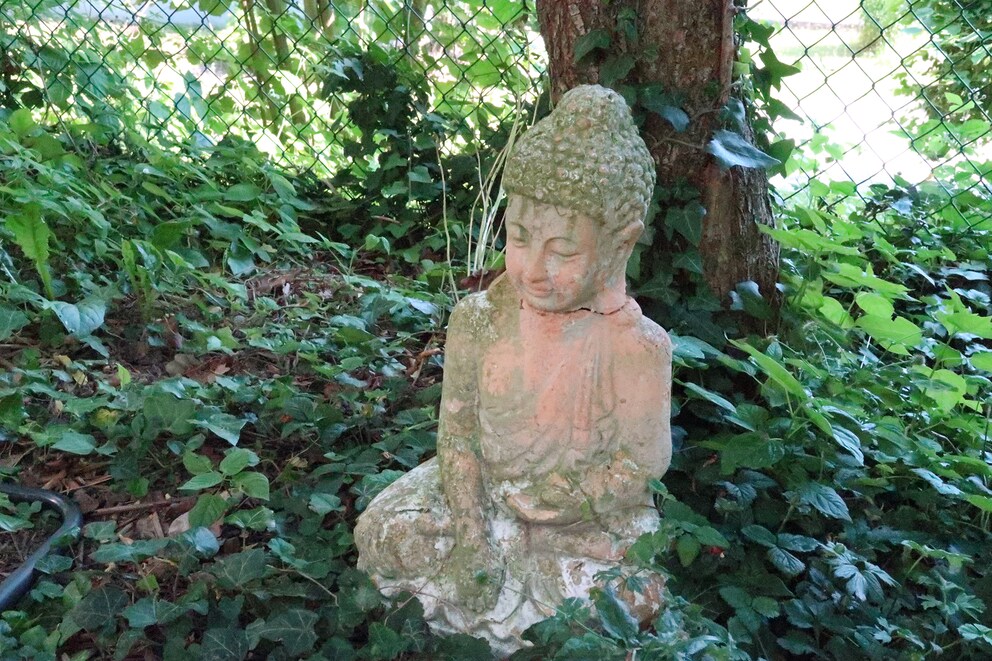 Das Bild, das mehr sagt als tausend Worte. Ja, ist Buddha, nicht Konfuzius.