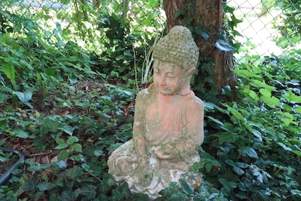 Das Bild, das mehr sagt als tausend Worte. Ja, ist Buddha, nicht Konfuzius.