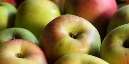 Apples produce ripening gas that can make other fruit and veg go off faster. Image source: Fuchs Gewürze