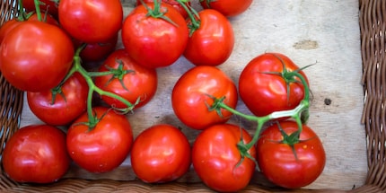 Tomatoes are best stored away from light at room temperature. Image source: T-Online
