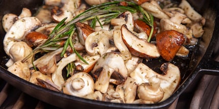 It’s fine to reheat mushrooms, but it’s best to eat them right after cooking. Image source: Bitcoinist