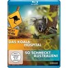 Das Koala-Hospital So schmeckt (2013, Blu-ray)