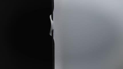 Bisogna guardare con attenzione: le lamelle sono queste linee molto piccole e sottili.