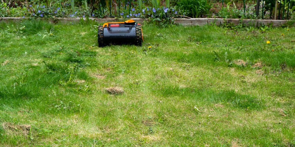 Avant que l'hiver ne s'installe, il faut tondre le gazon une dernière fois.