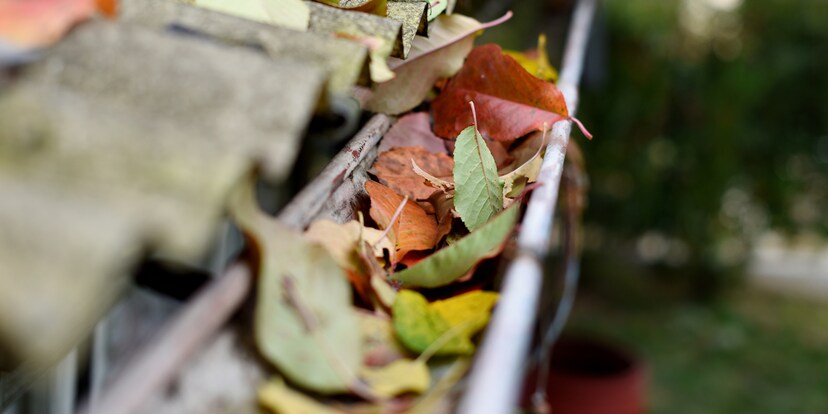Optimal gerüstet: So machst du deinen Haushalt ready für den Herbst
