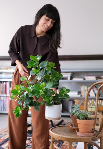 For Esther, chairs are also pedestals for plants...