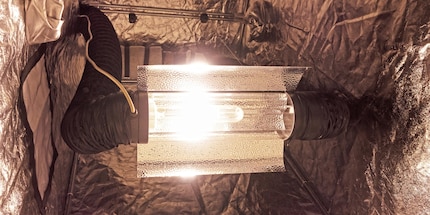 Ne regardez jamais directement le soleil. Il en va de même pour la lampe à vapeur de sodium, que l’on voit ici, et à plus forte raison plus pour ma nouvelle lampe LED.