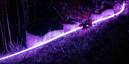 Philips Hue fa una bella figura anche fuori. Immagine: Techtest