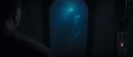 Ne me dites pas que je suis le seul à penser aux conteneurs du leader suprême dans « L'Ascension de Skywalker » en voyant ces conteneurs remplis de bacta.