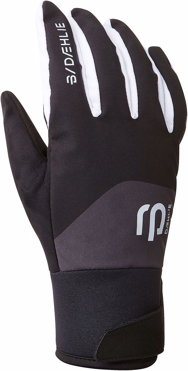 Daehlie Classic 2.0 Handschuhe (L) kaufen