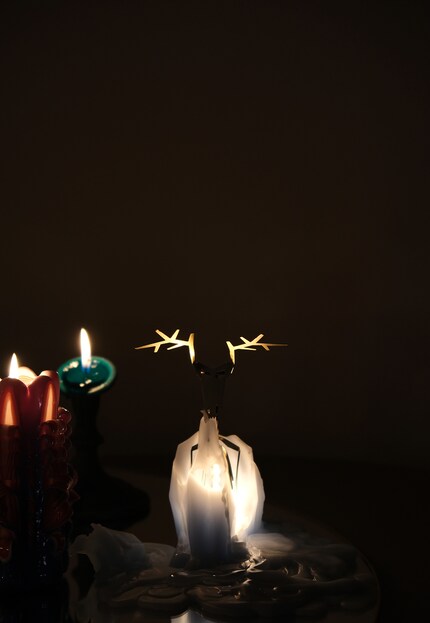 Cow, moose, reindeer. The pyropet Dyri had many names in the comments.