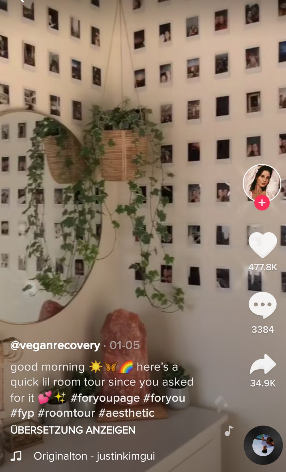 Una composizione di Polaroid ha un fascino tutto suo. Immagine: TikToker «Veganrecovery»
