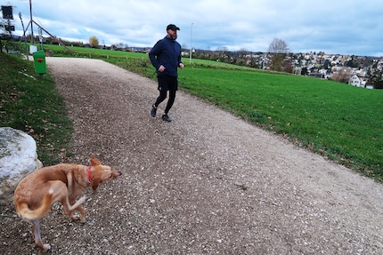 Mon chien travaille aussi ses fondamentaux. Pour lui, par contre, c'est plutôt du yoga.